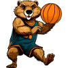 Basketball player Biber