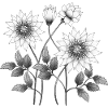 Fleur