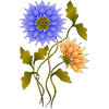 Fleur