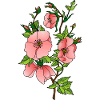 Fleur
