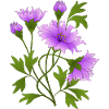 Fleur