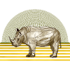 rhinocéros