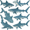 Blue Shark Parade Ocean Print