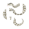 Königspython Schlangen LOVE Terrarium Python