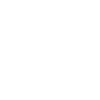 Königspython Schlangen LOVE Terrarium Python