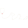 Veterinarian Veterinarian
