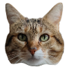 Sticker Missty