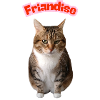 Missty friandise
