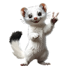 ermine