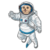Meerkat Astronaut Space