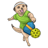Meerkat Pickleball