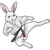 Rabbit Karate Martial Arts