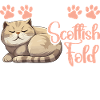 Scottish Fold Besitzer Katze Stofftier Scottish