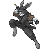 Bunny Ninja Martial Arts