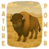 Bison on the Steppe