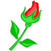 Rose rot