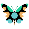 Schmetterlingskunst
