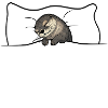 Otter Sleeping Shirt blanc
