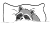 Raccoon Sleep Shirt