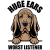 Bloodhound, Grandes Oreilles Pire Auditeur