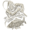 Old fisherman carp illustration