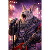 RockyZoo36