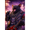 RockyZoo31