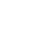 Professional Bug Hunter Badge