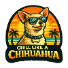 Chill like a Chihuahua