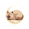 Sleepybara Pjyama Capybara pyjama top