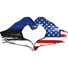 Estonia USA Heart Flags