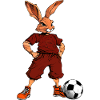 Hase Fussball