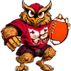 Owl Rugby