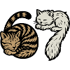 Sleeping 'Six Seven' cats