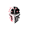 Leinster Warriors Irlande