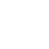 Tiger contrast portrait