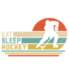 Eishockey Hockey 