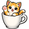 Kitten in a cup