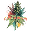 12 /12 to bloom