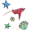 Étoile de mer dans la mer