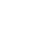Raccoon with Sunglasses – Bandit Vibes