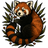 Red Panda in the Foliage