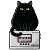 Walkman Loaf Cat Music K7