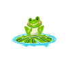 Grenouille protectrice d’étang Catcher