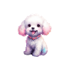 Pyjama Drôle Chien Bichon