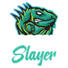 Dragon Hunter Reptile Hunting Gear Lizard Iguana