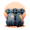 Elephant couple in sunset