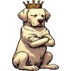 Labrador Labradorbesitzer Labradorliebhaber 