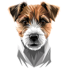 Jack Russell Terrier Amante dei cani Jack Russell