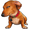 Side Eye Dachshund Monday Mood